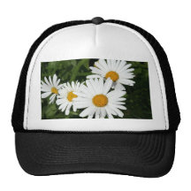 Lock för Shasta daisy Baseball Hat