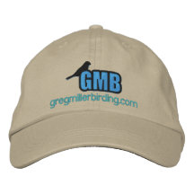 Logo 2x för grundläggande hatt för GMB kulör