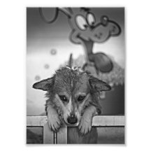 Lola04BW.png Fototryck