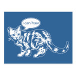 lolcat - jag kan har? vykort