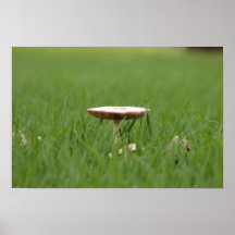 Lone champinjon print