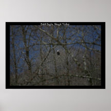 Lone örn posters