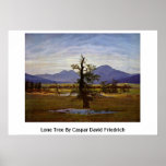 Lone träd av Caspar David Friedrich Affischer