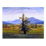 Lone träd - vid Caspar David Friedrich Vykort