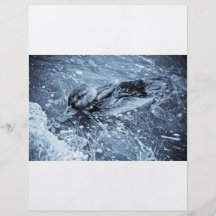 LonelyDuck reklamblad Custom Flyer