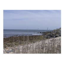 Long Island beach2 Vykort