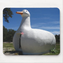 Long Islandanka Mus Matta