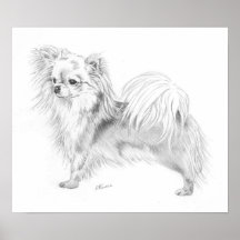 Longcoat Chihuahuamästare Affischer