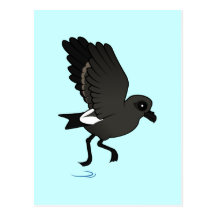 Lösning stormPetrel (fladdrandet) Vykort