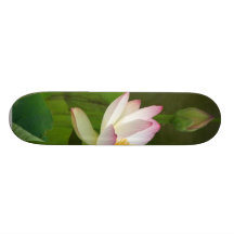 Lotusblomma blommar damm skateboard deck
