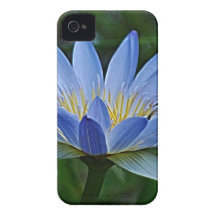 Lotusblommablomma och menande iPhone 4 skydd