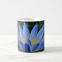 Lotusblommablomma och menande kaffe kopp