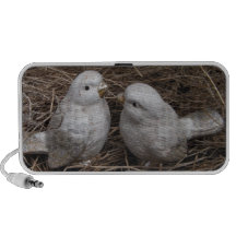 Love birdsdoodle högtalare, två fåglar i en bygga 