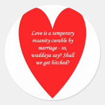 love-is-a-temporary-insanity-curable-by-01 runda klistermärken