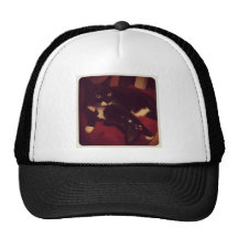 Lucys X-boxas Trucker Kepsar