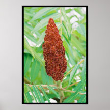 Luddig natur posters