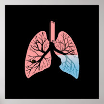 Lungs landskap affisch