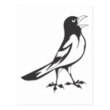 Lycklig Baltimore Oriole fågel i svartvitt Vykort