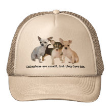 Lycklig Triohatt för Chihuahua Trucker Kepsar