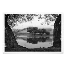 Lyckliga Trees Fotografiskt Tryck