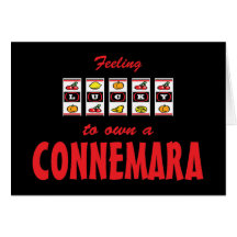 Lyckligt att äga Connemara en rolig ponnydesign Kort