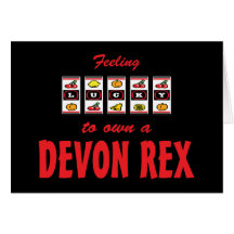 Lyckligt att äga Devon Rex en rolig kattdesign Hälsnings Kort