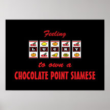 Lyckligt att äga en choklad peka Siamese rolig kat Posters