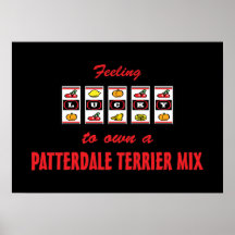 Lyckligt att äga en rolig design för Patterdale Te Affischer