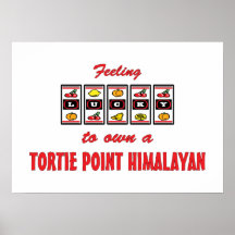 Lyckligt att äga en Tortie peka den Himalayan roli Posters