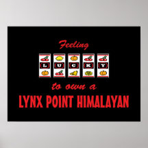 Lyckligt att äga ett lodjur peka den Himalayan rol Affisch