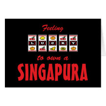 Lyckligt att äga Singapura en rolig kattdesign Hälsningskort