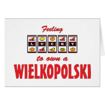 Lyckligt att äga Wielkopolski en rolig hästdesign Kort