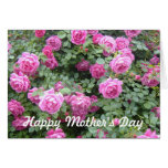 Lyckligt mors dagkort - rosa rosebush