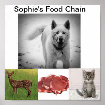 Lydia Sharpe "Sophies mat kedjar" affischen