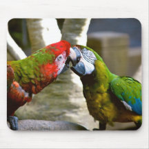 Macawen mekaniskt säga efter fotoet Mousepad Musmatta