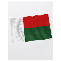 madagascar