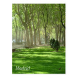 Madrid Vykort