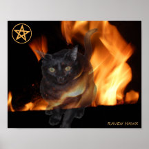 Magick katt posters