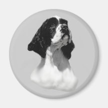 Magnet för ansikte för cockerspanielSpanielperfekt Kylskåpmagneter
