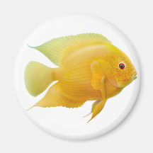 Magnet för citronSeverum fisk Magneter