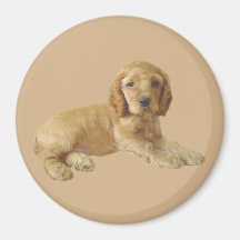 Magnet för cockerspanielSpanielvalp Kylskåpsnagnet