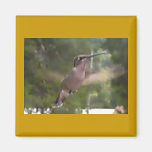 Magnet för Hummingbird 1 Magnet För Kylskåp
