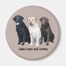 Magnet för Labrador Retriever Magnet För Kylskåp