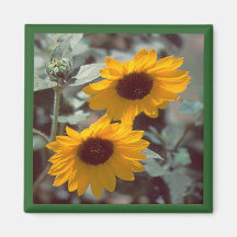 Magnet för orange daisy magneter för kylskåp