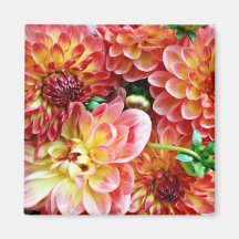 Magnet "för trädgårds- Dahlias" Kylskåps Magneter