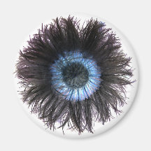 Magnet Magneter