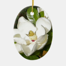 Magnoliablommar Julgransdekorationer