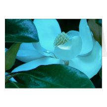 Magnoliadeppighet Hälsnings Kort