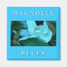 Magnoliadeppighet Magneter För Kylskåp