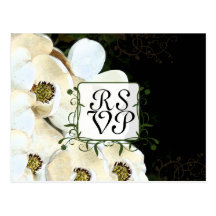 Magnoliasvarskort Vykort